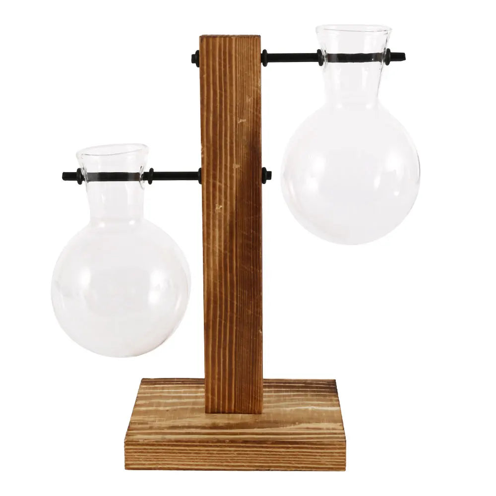 Glass Hydroponic Plant Vase with Wooden Stand