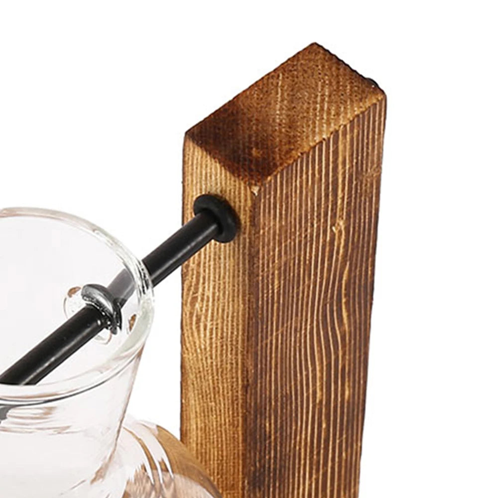 Glass Hydroponic Plant Vase with Wooden Stand