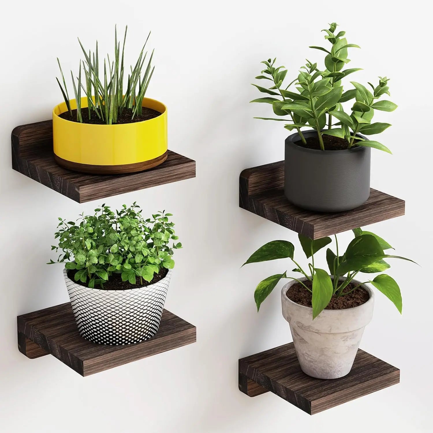 Mini Floating Wall Shelves – 4 Pack