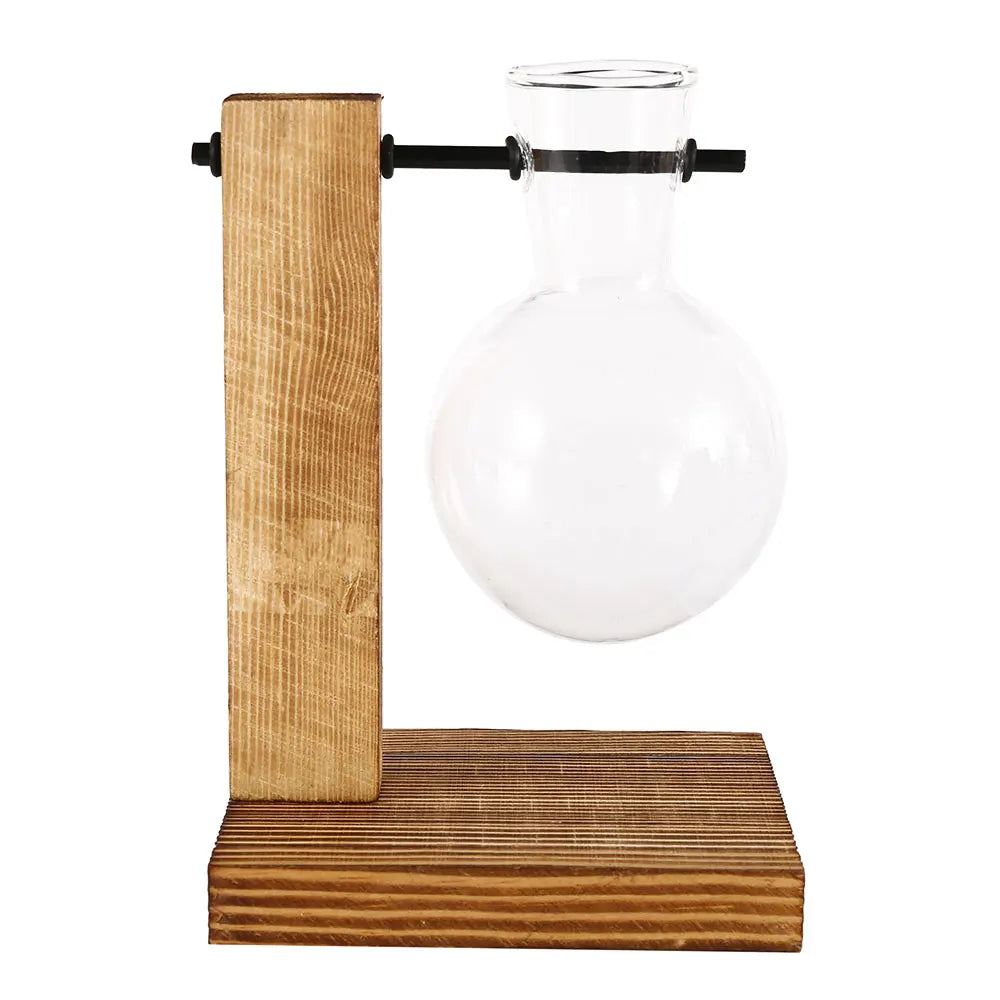Glass Hydroponic Plant Vase with Wooden Stand