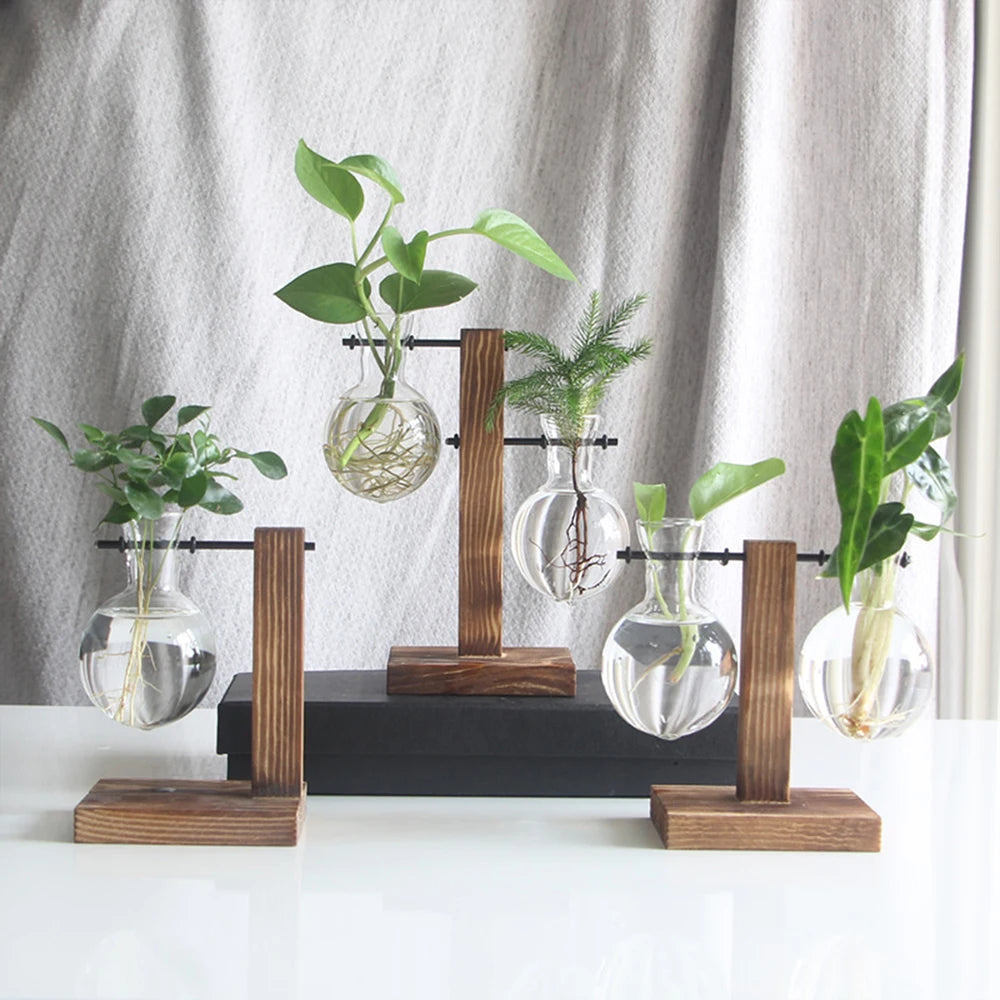 Glass Hydroponic Plant Vase with Wooden Stand