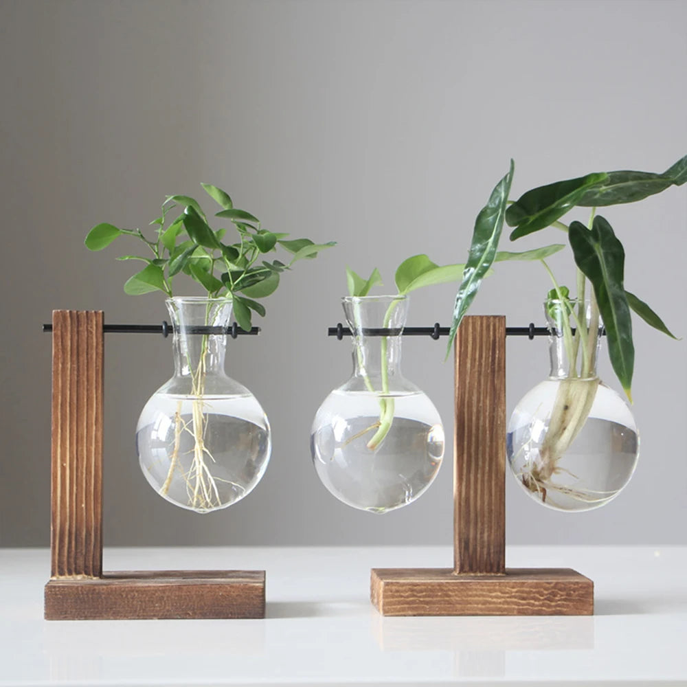 Glass Hydroponic Plant Vase with Wooden Stand