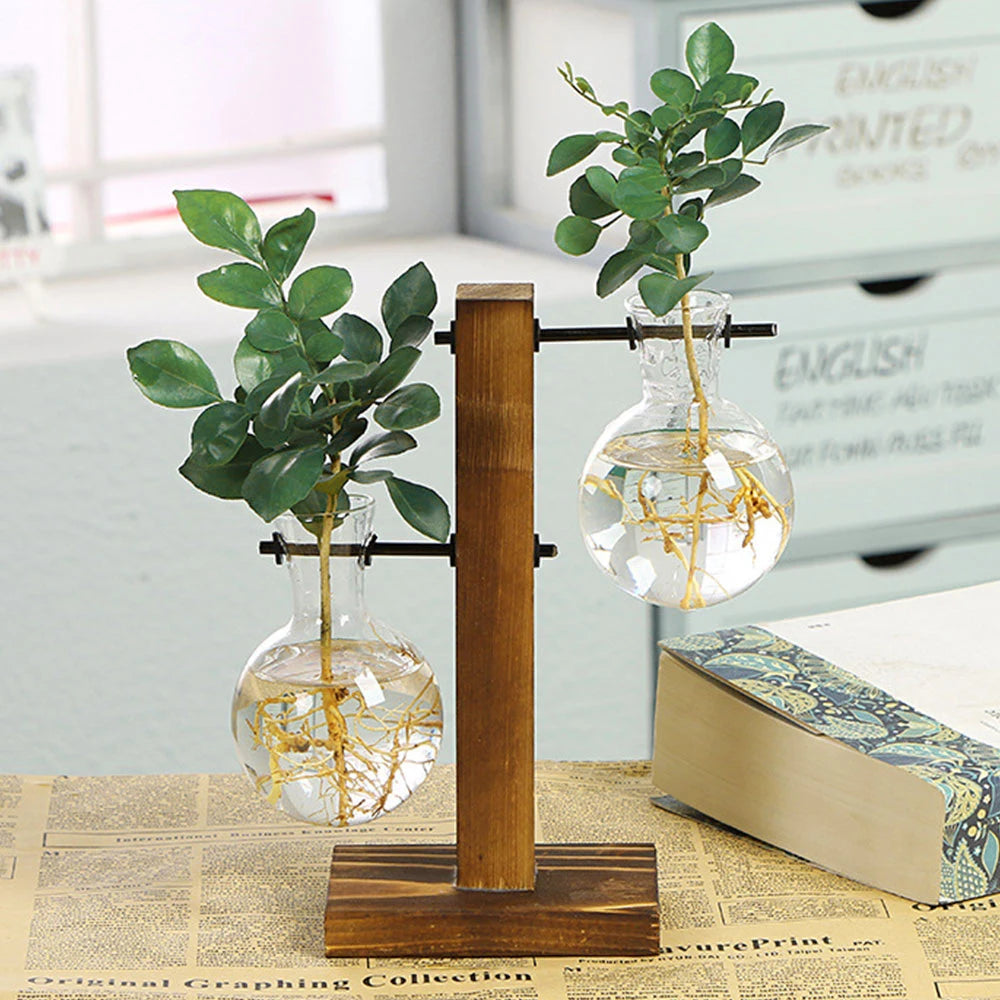 Glass Hydroponic Plant Vase with Wooden Stand
