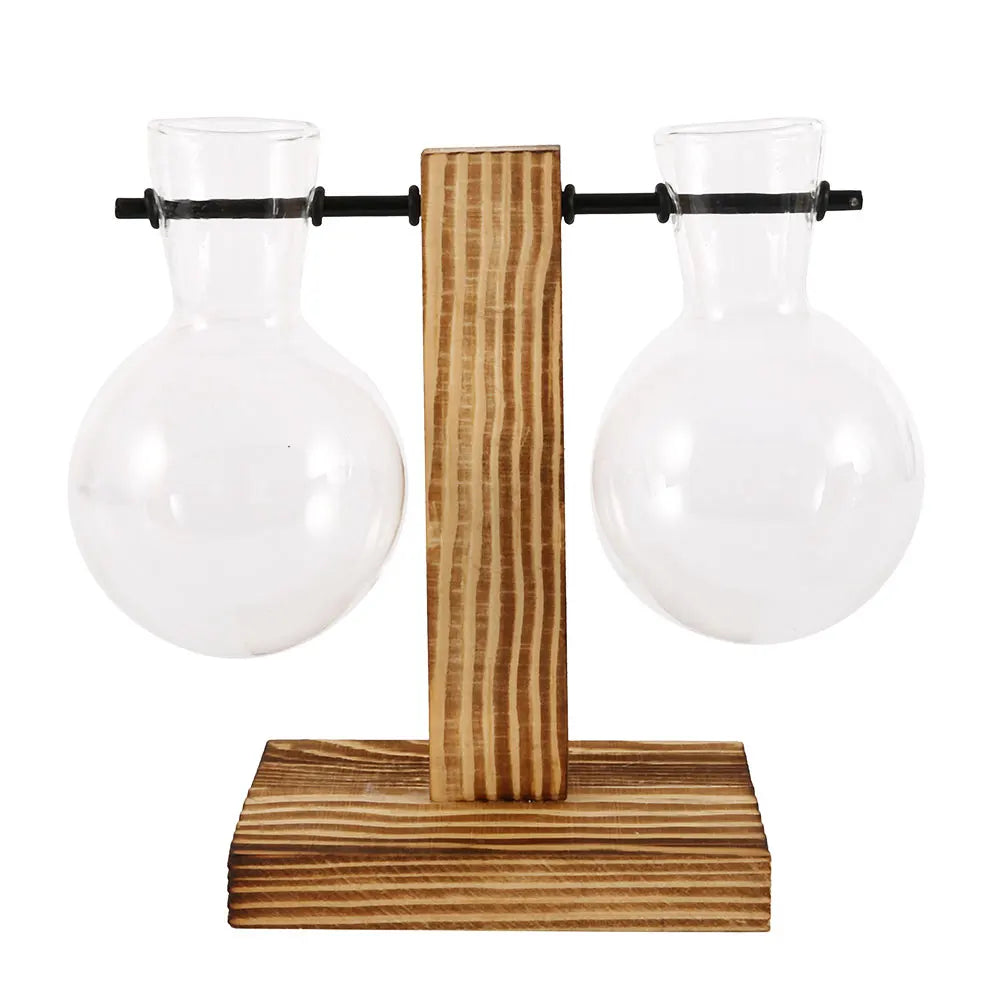 Glass Hydroponic Plant Vase with Wooden Stand