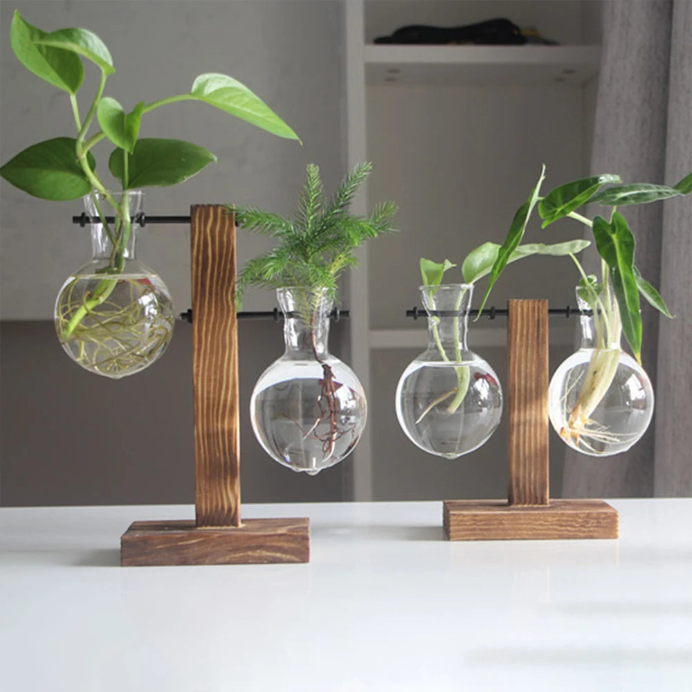 Glass Hydroponic Plant Vase with Wooden Stand